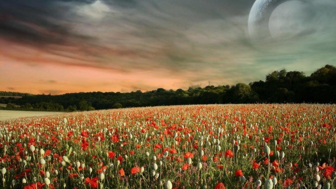 你见过哪些员工因为作死被开除的事情？